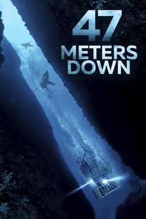 47 Metres Down (2017) Dual Audio | Dubbed Hindi Movie BluRay [850MB]