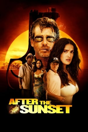 After The Sunset (2004) Dual Audio | Dubbed Hindi Movie BluRay [780MB]