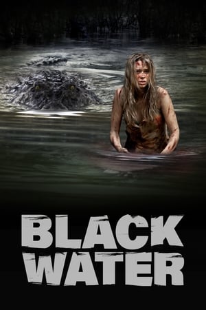 Black Water (2007) Dual Audio | Dubbed Hindi Movie BluRay [1GB]