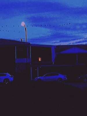 Break (2019) Dual Audio | Dubbed Hindi Movie BluRay 300MB