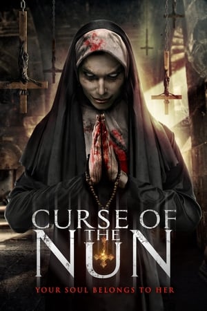 Curse of the Nun (2019) Dual Audio | Dubbed Hindi Movie BluRay [800MB]