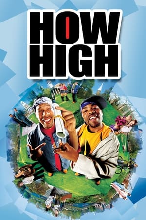 How High (2001) Dual Audio | Dubbed Hindi Movie WebRip [800MB]