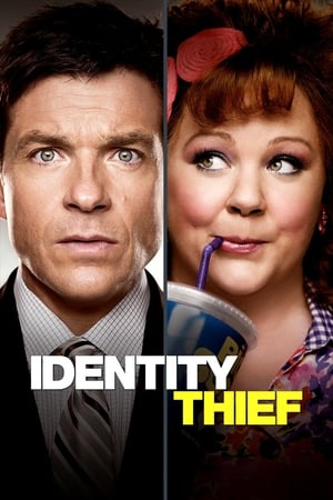 Identity Thief (2013) Dual Audio | Dubbed Hindi Movie BluRay [1GB]