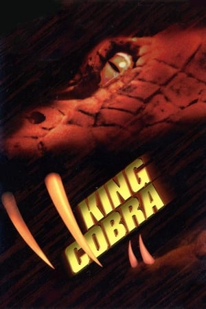 King Cobra 1999 Dual Audio | Dubbed Hindi Movie Web-DL 300MB