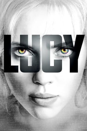 Lucy (2014) Dual Audio | Dubbed Hindi Movie BluRay 300MB