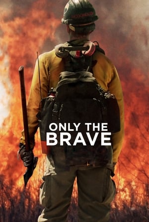 Only the Brave 2017 Dual Audio HDRip | Dubbed Hindi Movie – 480p