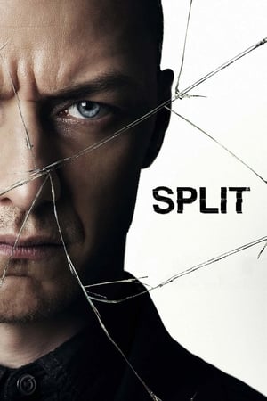 Split (2016) Movie HC HDRip | Dubbed Hindi Movie [900MB] Download