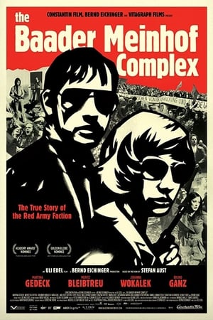 The Baader Meinhof Complex (2008) Dual Audio | Dubbed Hindi Movie HDRip 500MB
