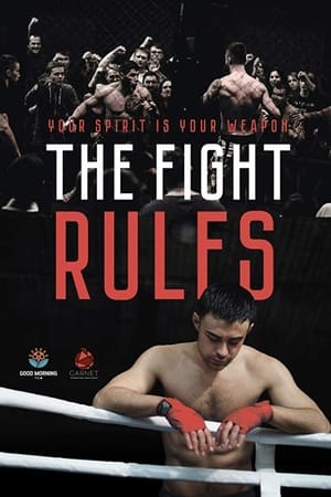 The Fight Rules 2017 Dual Audio | Dubbed Hindi Movie WebRip 260MB