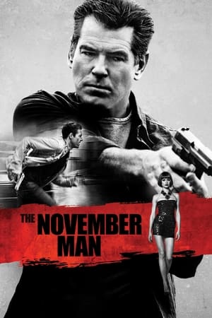 The November Man 2014 Dual Audio [ – English] BluRay | Dubbed Hindi Movie – 720p – 1080p
