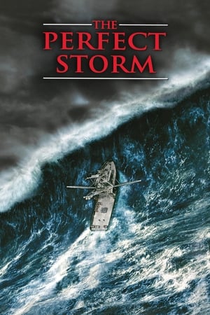 The Perfect Storm (2000) Dual Audio | Dubbed Hindi Movie HDRip [1.2GB]