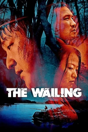 The Wailing 2016 Dual Audio | Dubbed Hindi Movie Web-DL [1.3GB]