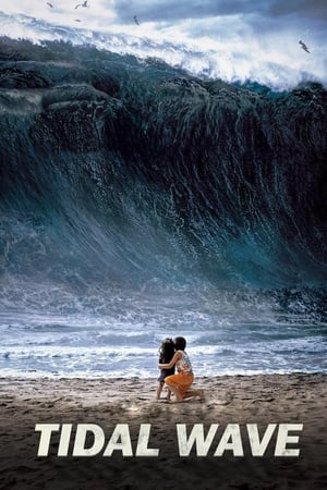 Tidal Wave (2009) Dual Audio | Dubbed Hindi Movie BluRay [1GB] ESubs